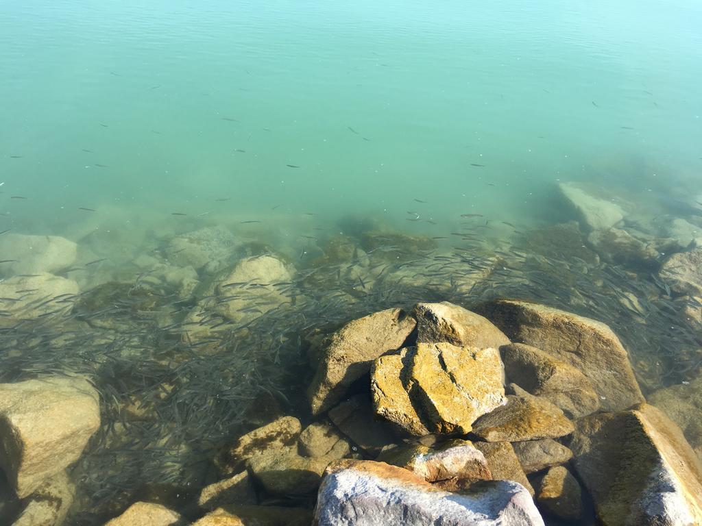 Cuki Apartmanok Siofok Luaran gambar